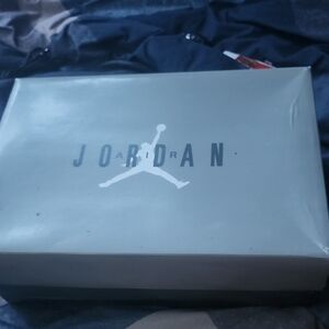 Air Jordan 11 Retros (Cool Grey)